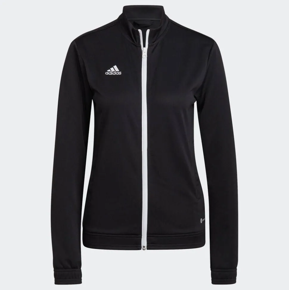 Adidas takki Entrada 22 jacket W