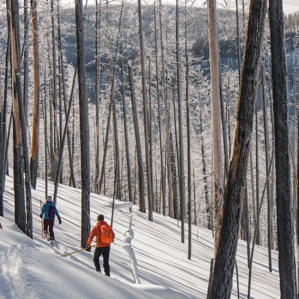 Altai liukulumikenkä Hok 145 cm + Pivot siteet