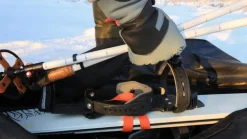 Altai liukulumikenkäkassi