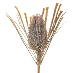 Bloomingville koristeoksa Palmflower ruskea