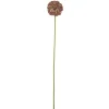 Bloomingville koristeoksa Allium ruskea