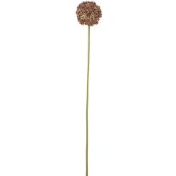 Bloomingville koristeoksa Allium ruskea