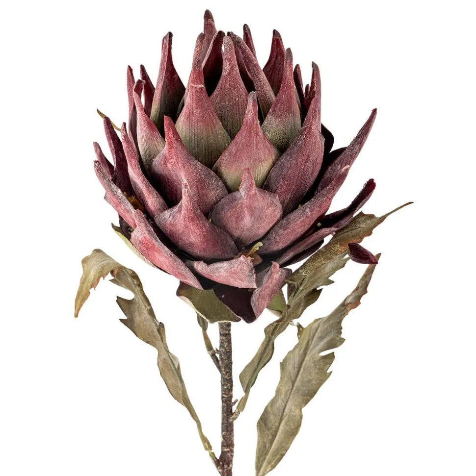 Bloomingville koristeoksa Protea violetti