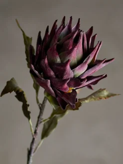 Bloomingville koristeoksa Protea violetti