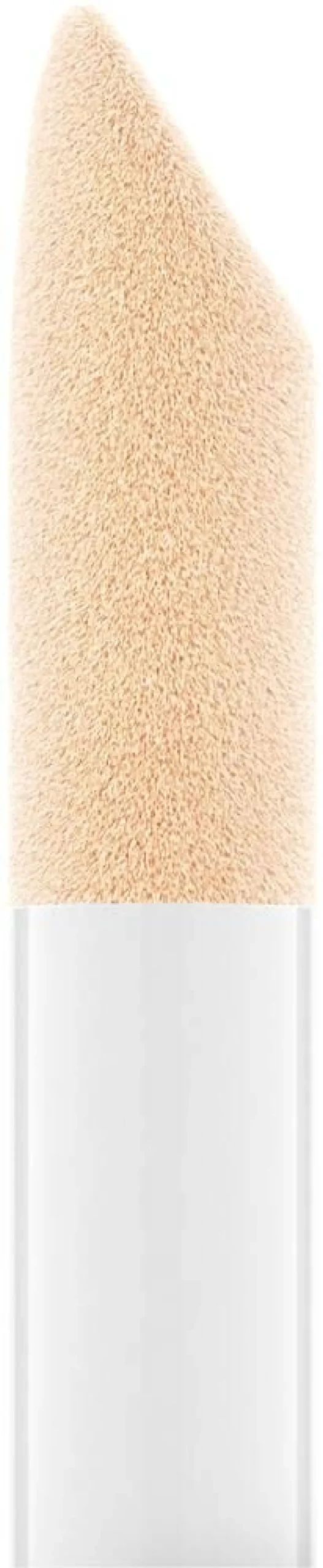 Catrice Glossin' Glow Tinted Lip Oil 030
