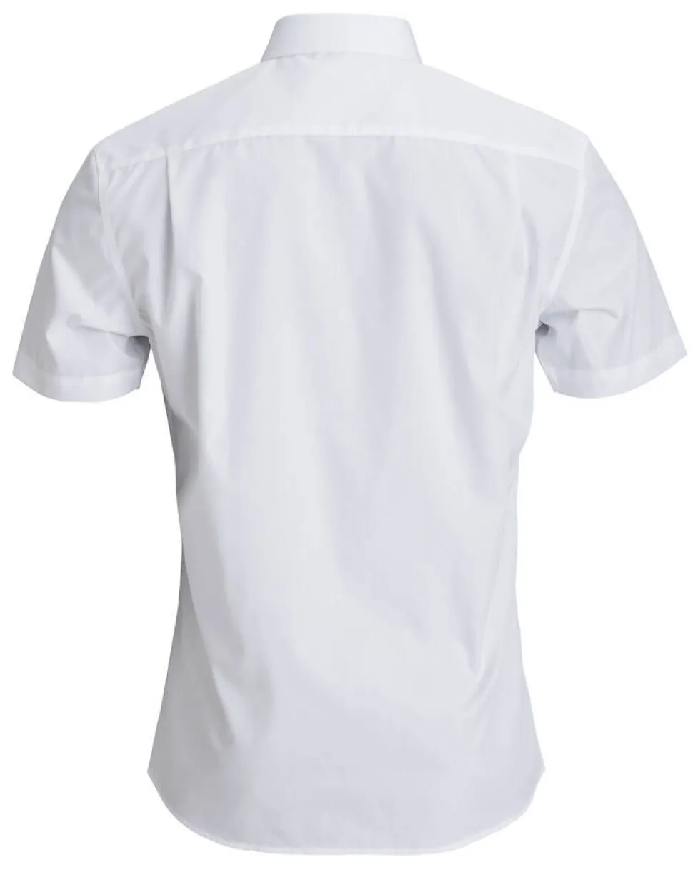 Create paita Paul extra slim fit SS