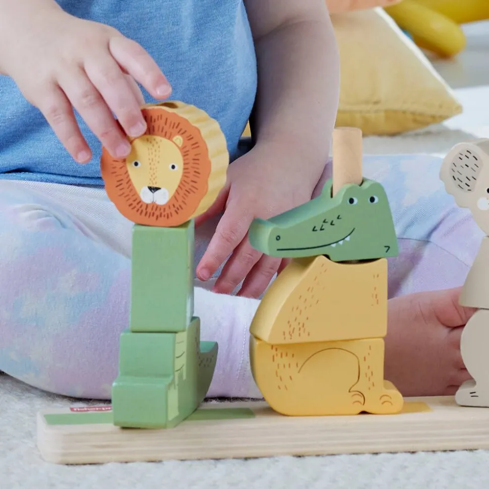 Fisher-Price eläimet Stack & Sort
