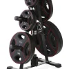 Gymstick levypainoteline Olympic