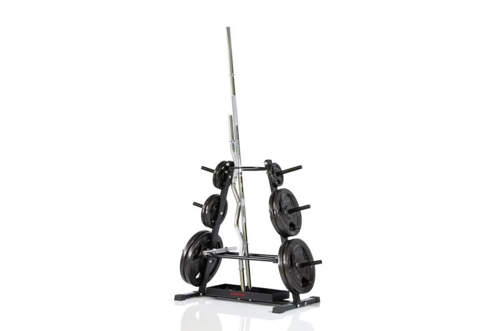 Gymstick teline rautalevypainoille