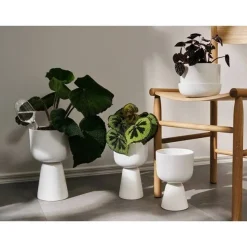 Iittala Kastelupullo Iittala 2 kpl