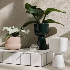 Iittala Kastelupullo Iittala 2 kpl