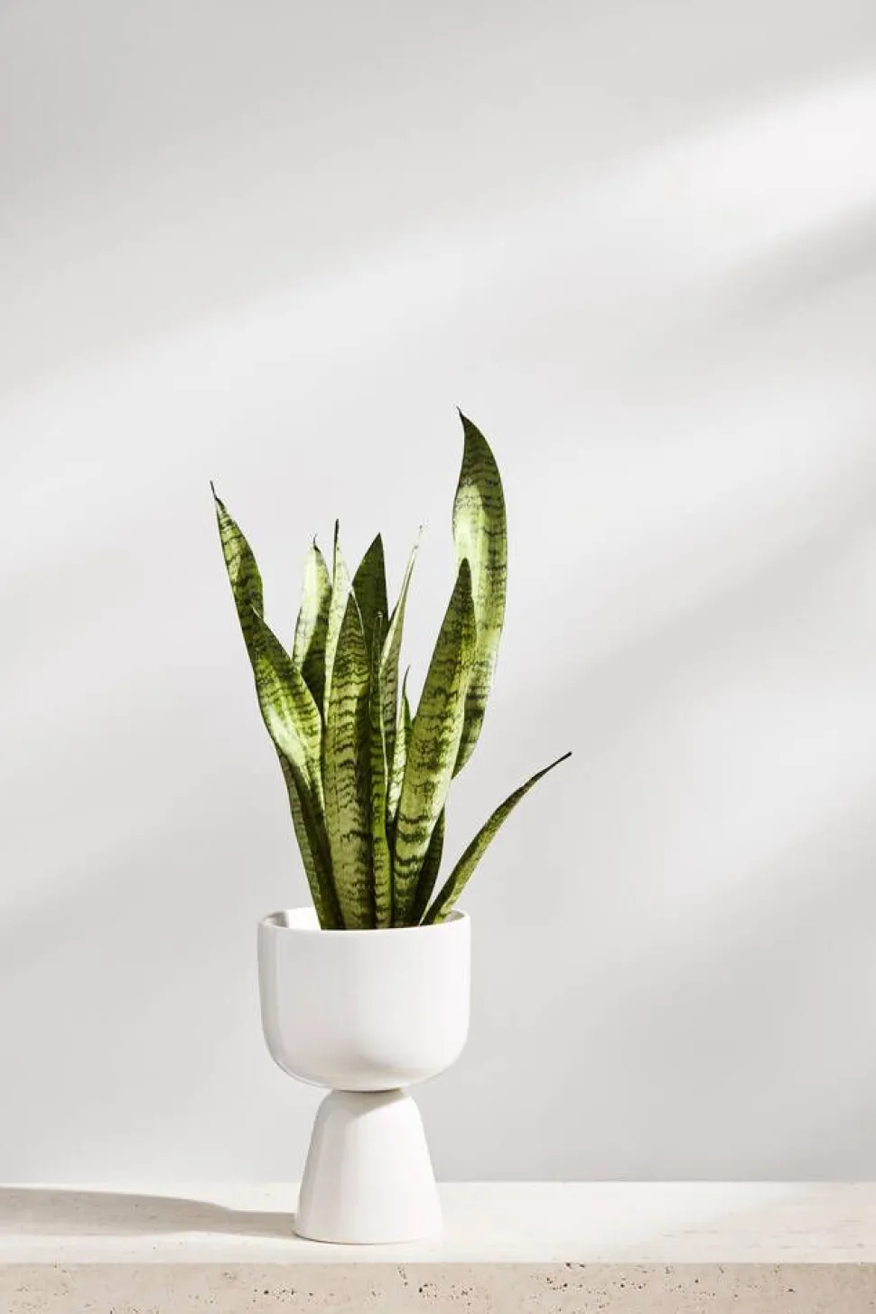 Iittala Nappula Ruukku 230x155 mm valkea