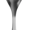 Iittala Collective Tools Tarjoilulusikka iso