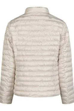 Lebek takki 70700052