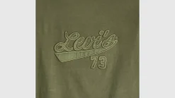 Levi's t-paita Graphic Boxy t-shirt