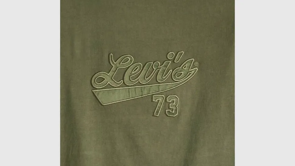 Levi's t-paita Graphic Boxy t-shirt