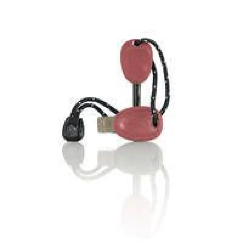 Light my fire Tulustikku FireSteel BIO Scout rockyred