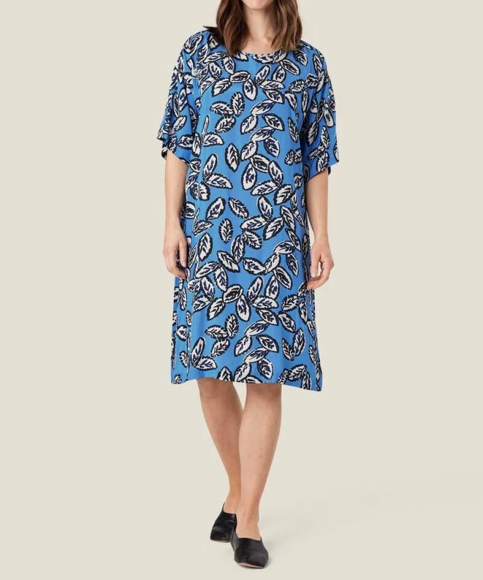 Masai mekko Nabi