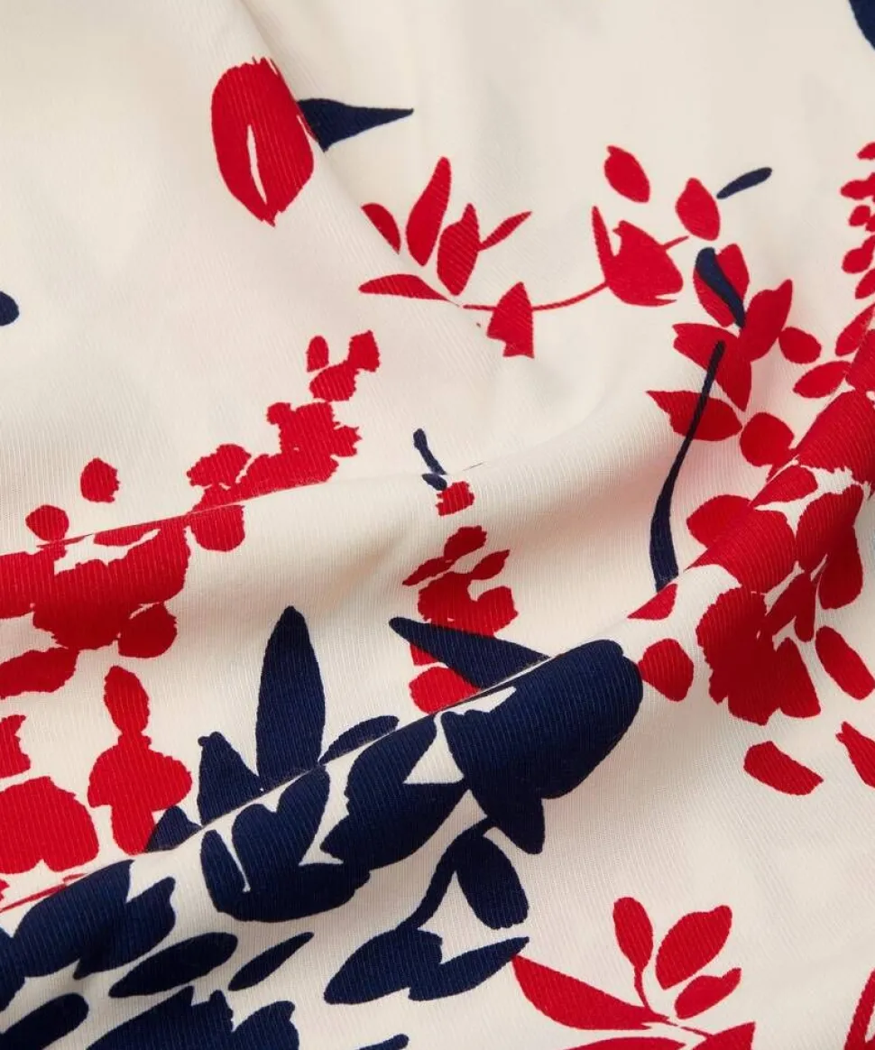 Masai mekko Iosetta