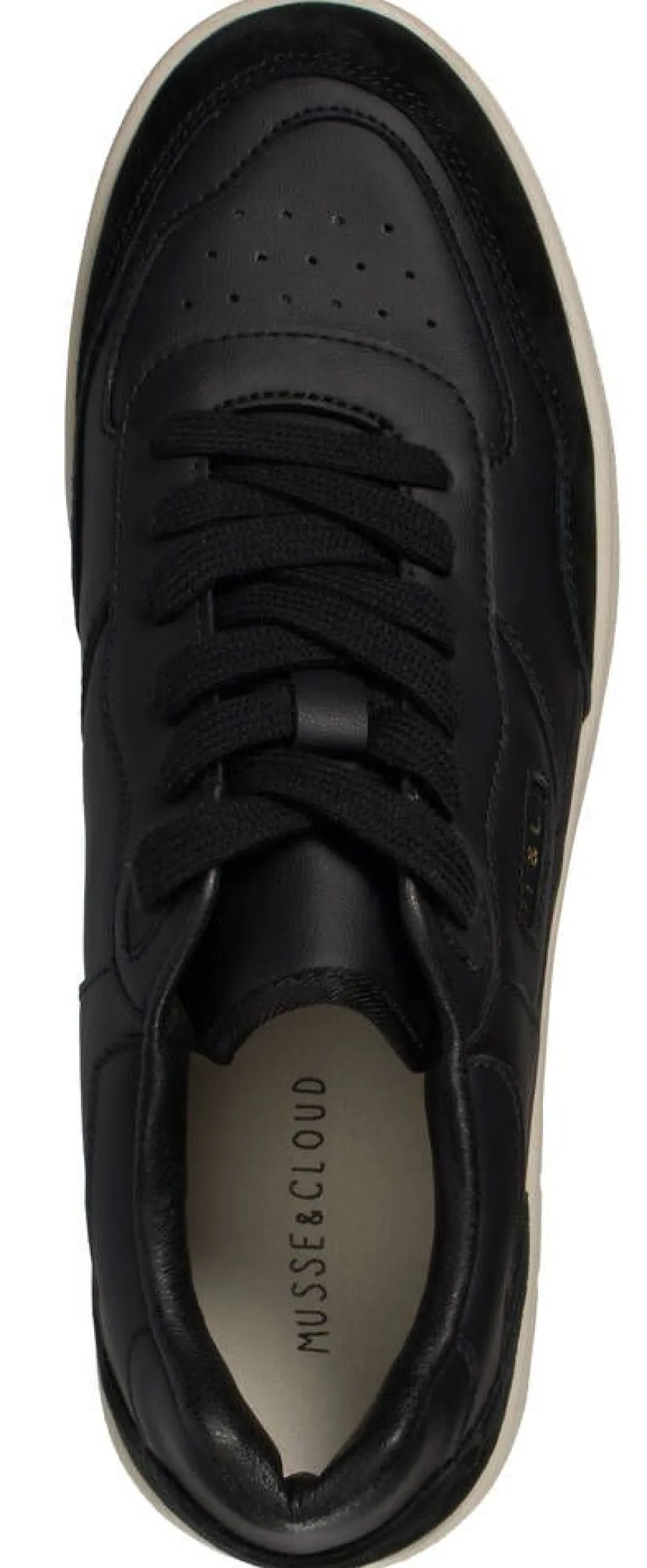 Musse & Cloud tennarit Gasol BLK