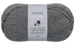 Novita 7 Veljestä lanka 100 g 048 kallio