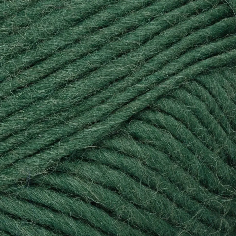 Novita lanka Hygge Chunky 100g 380 metsä