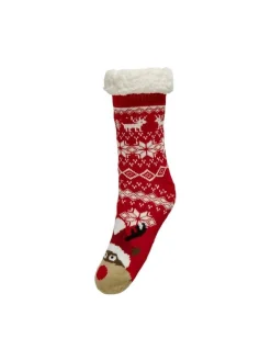 Only sukat Onlchristmas Teddy
