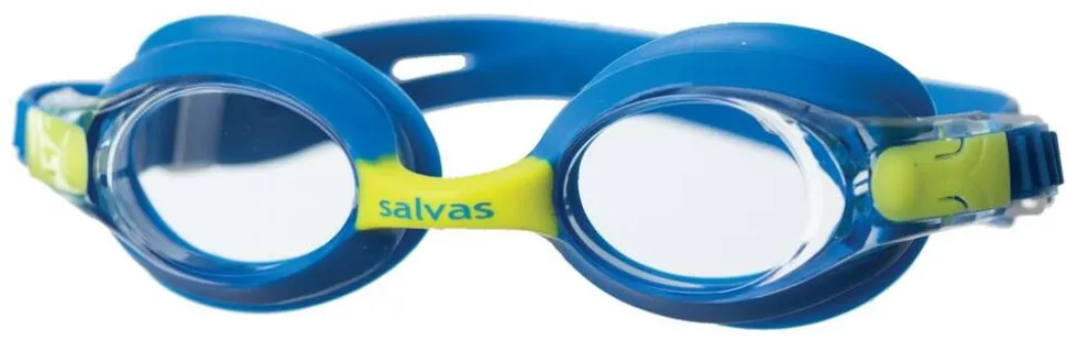 Salvas hallilasi Quak JR