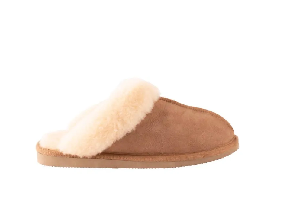 Shepherd of Sweden aamutossut Jessica Chestnut