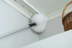 Sini pölypampula
