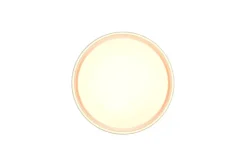 Trio Lighting LED kattovalaisin Felis 40 cm mattavalkoinen