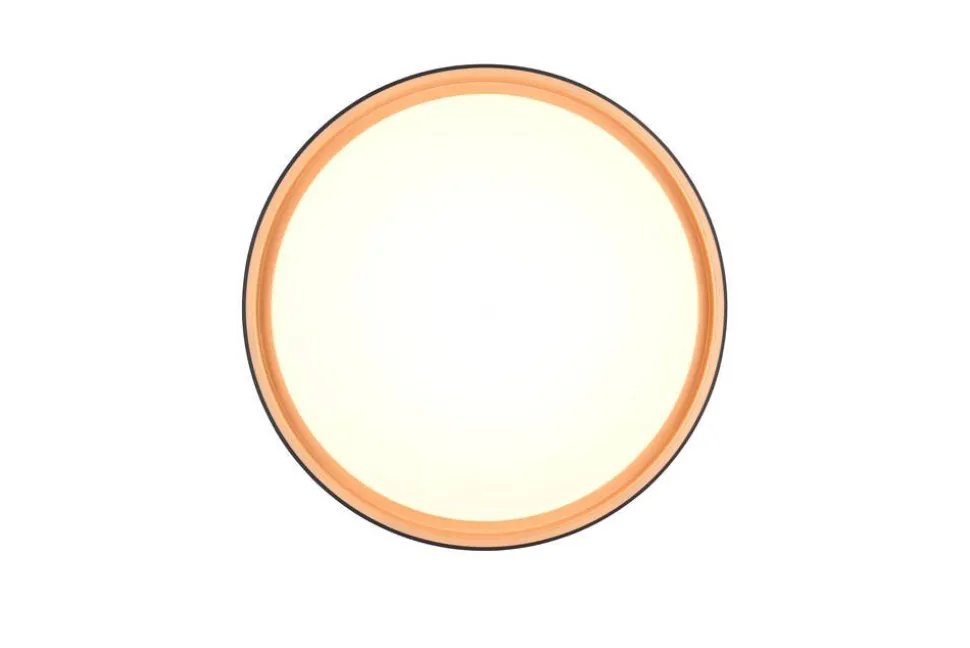 Trio Lighting LED kattovalaisin Felis 40 cm musta/kulta