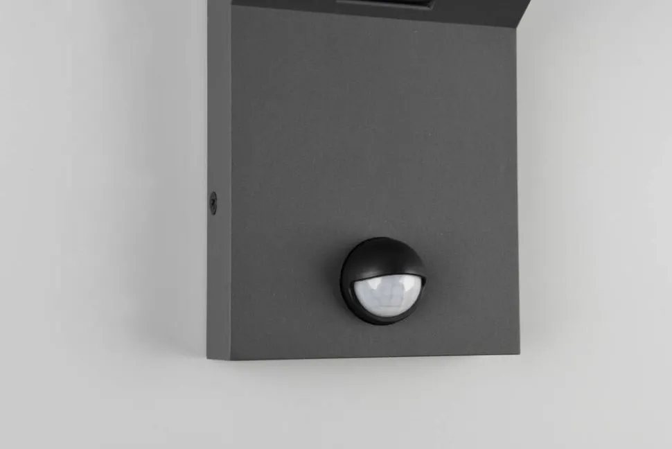 Trio Lighting LED seinävalaisin Adour antrasiitti liiketunni