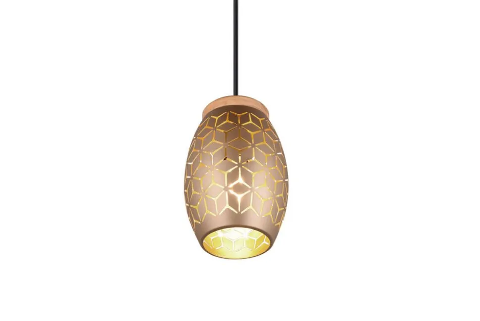 Trio Lighting riippuvalaisin Bidar 1-os E27 kahvinruskea