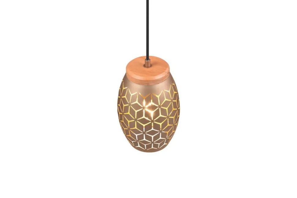 Trio Lighting riippuvalaisin Bidar 1-os E27 kahvinruskea