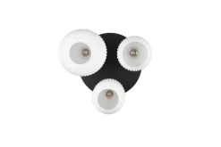 Trio Lighting kattovalaisin Diva 3-os E27 mattamessinki/valk