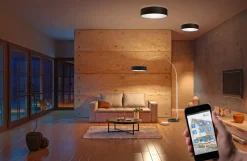 Trio Lighting kattovalaisin Hotel 50 cm 3xE27 musta