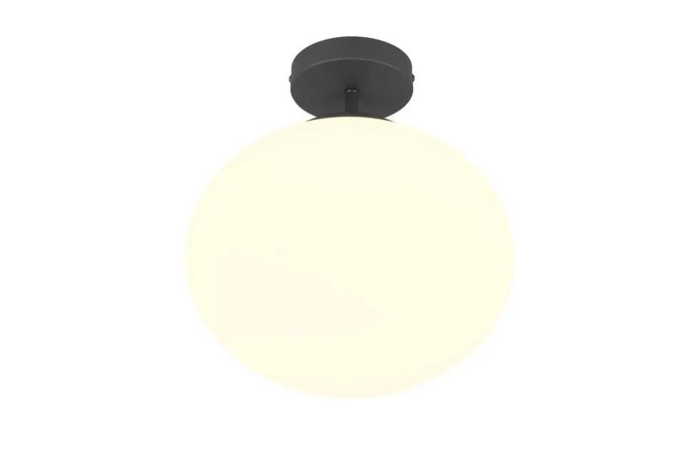 Trio Lighting kattovalaisin Fomento E27 mattamusta/valkoinen