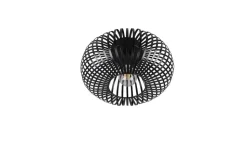 Trio Lighting kattovalaisin Johann 30 cm E27 mattamusta