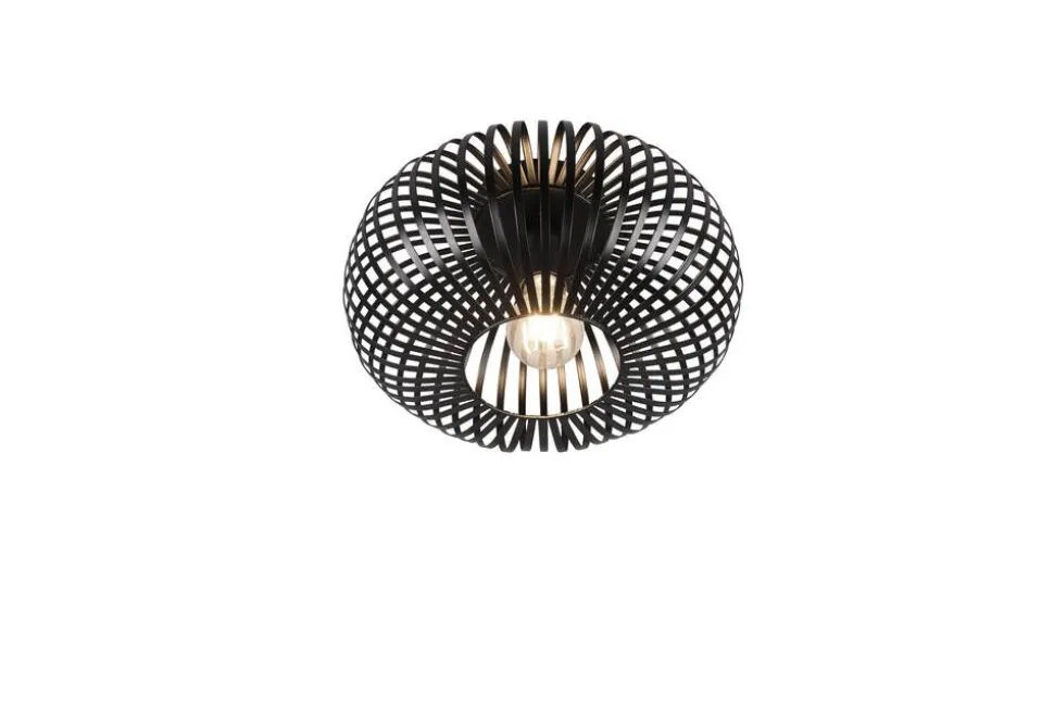 Trio Lighting kattovalaisin Johann 30 cm E27 mattamusta