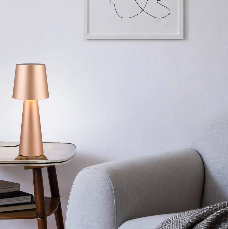 Trio Lighting pöytävalaisin Nubian E27 kahvinruskea