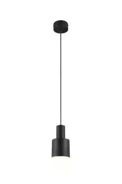 Trio Lighting riippuvalaisin Agudo 1-os E27 mattamusta