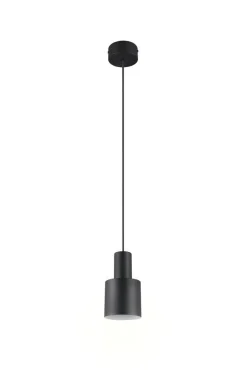 Trio Lighting riippuvalaisin Agudo 1-os E27 mattamusta