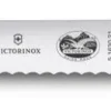 Victorinox Leipäveitsi sahalaita 21 cm puukahvalla